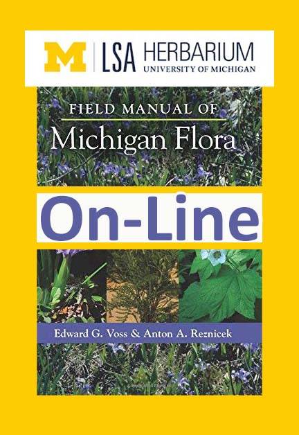 Direct link to Michigan Flora On-line